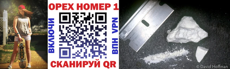 COCAIN Fish Scale  где найти наркотики  Магас 