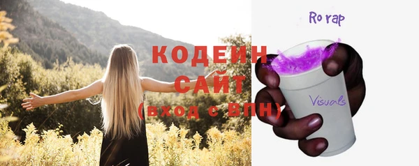 сатива Балахна