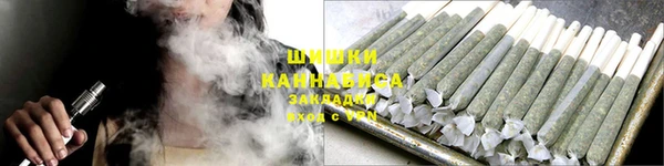 сатива Балахна