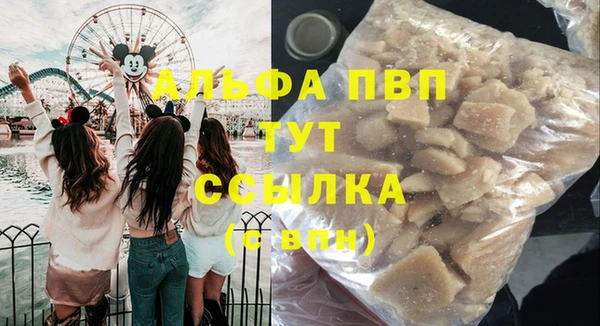 сатива Балахна