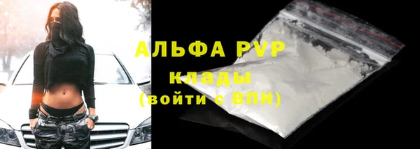 сатива Балахна