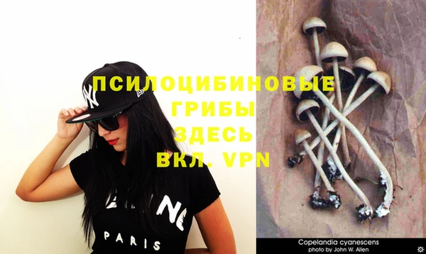 сатива Балахна