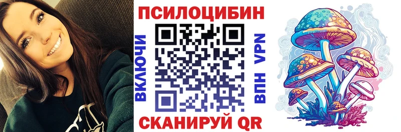 мориарти телеграм  Магас  Псилоцибиновые грибы GOLDEN TEACHER  закладка  blacksprut как войти 